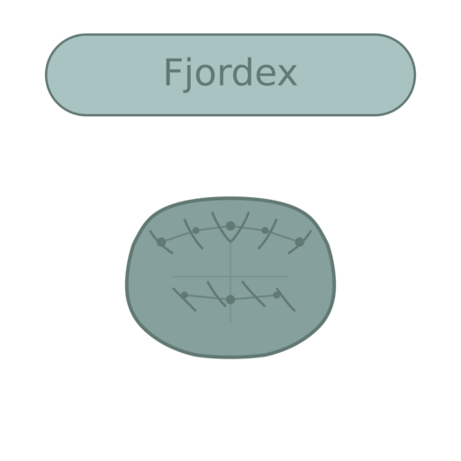 Fjordex - платформа развития карьеры